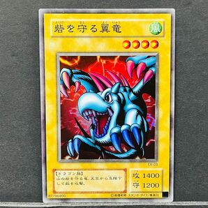 35 遊戯王 砦を守る翼竜