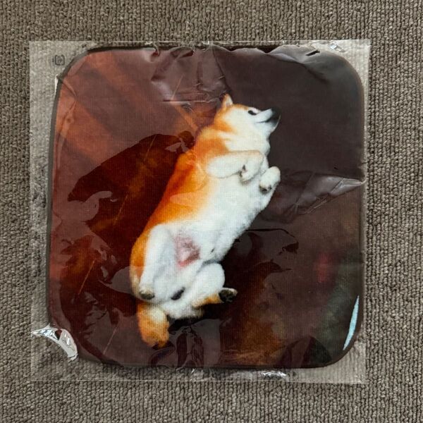 柴犬のミニタオル 新品未開封