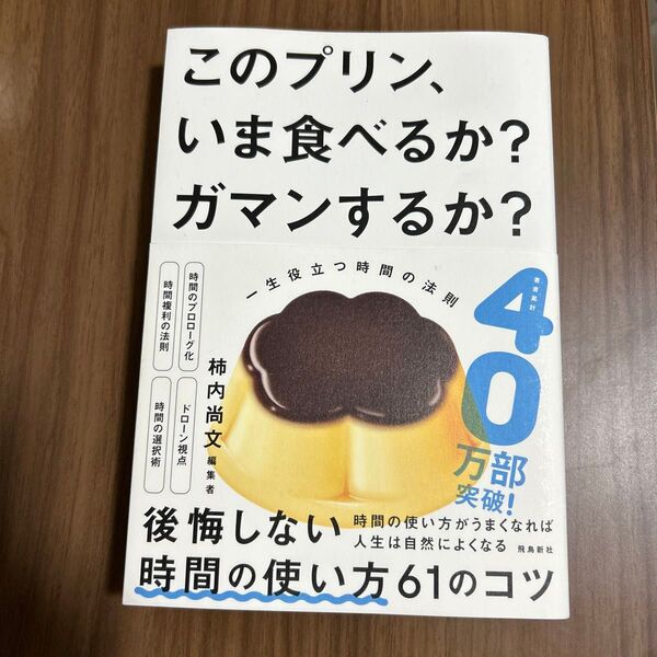 このプリン、いま食べるか?ガマンするか? 一生役立つ時間の法則 柿内尚文/著