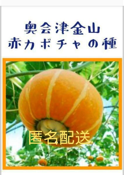 奥会津 金山赤かぼちゃ の種 【15粒】