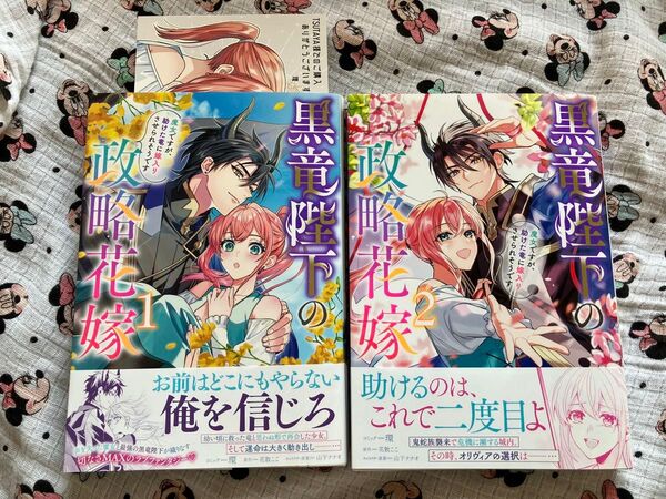 黒竜陛下の政略花嫁 魔女ですが、助けた竜に嫁入りさせられそうです 全巻