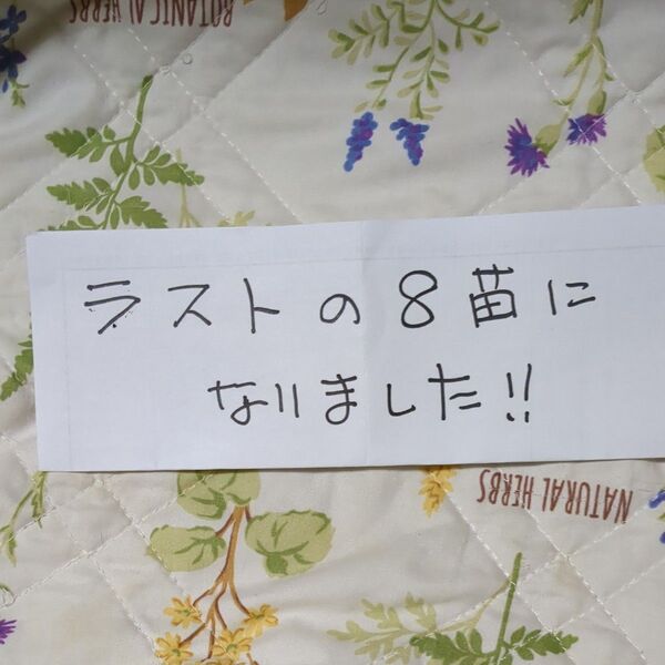 #シャガ苗