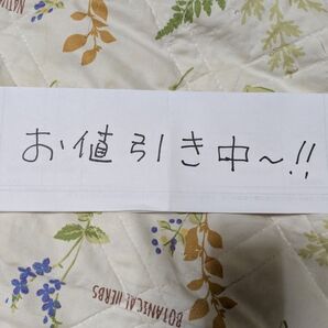 #すずらん苗