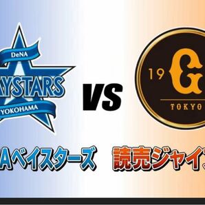 8月9日(土)横浜 VS 巨人 ハマスタ 内野指定 2名席分 ★連番良席★ 夏休み 野球観戦 横浜DeNAベイスターズ