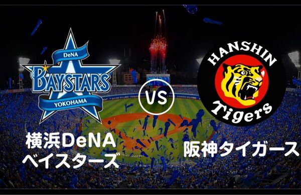 5月15日(木)横浜 VS 阪神 ハマスタ 内野指定 2名席分 ★連番良席★