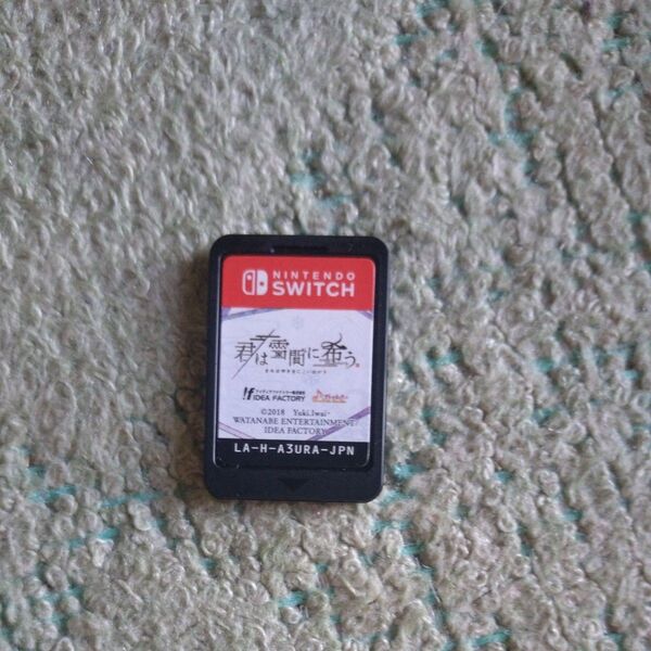 君は雪間に希う Switch ソフトのみ