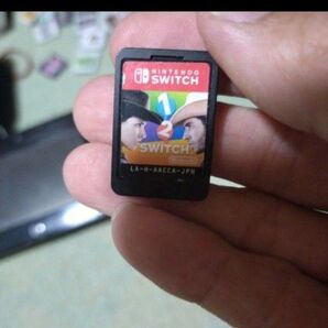 1-2 Switch ソフトのみ