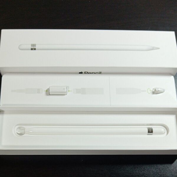 Apple Pencil MKOC2J/A ModelA1603