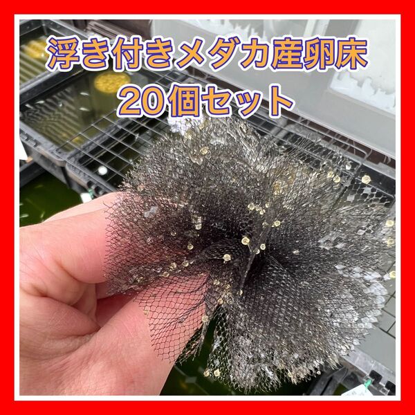 めだか産卵床浮き付き20個セット