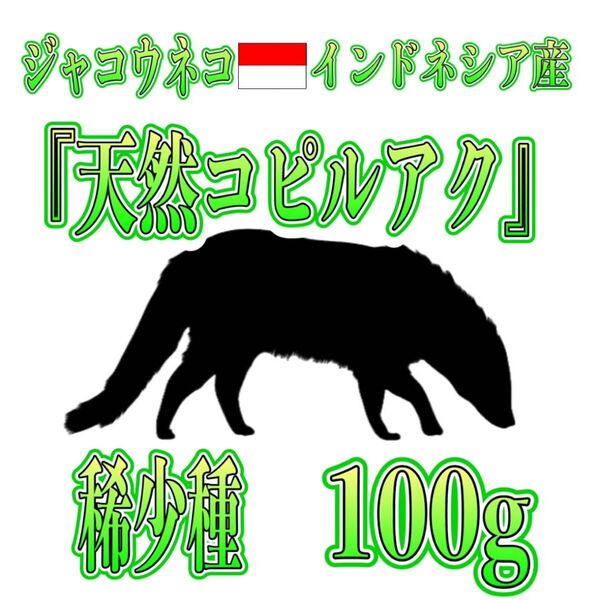 最高級希少種 「天然コピルアク」100g 自家焙煎 ※説明文を必ずご確認下さい