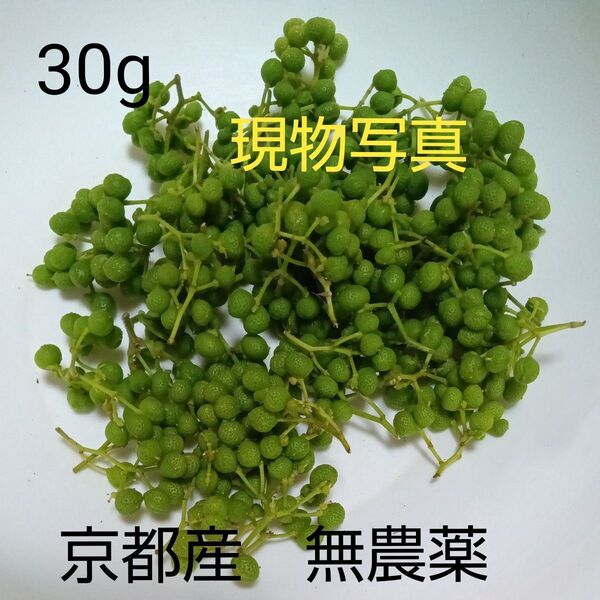 朝倉山椒30g 送料込