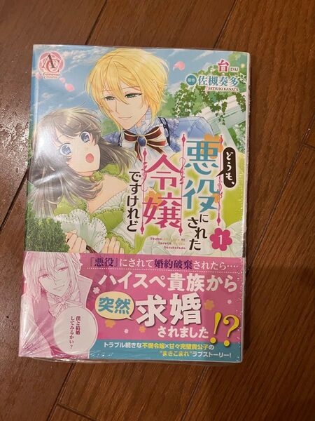 どうも、悪役にされた令嬢ですけれど 一巻 アニメイト特典付き 初版