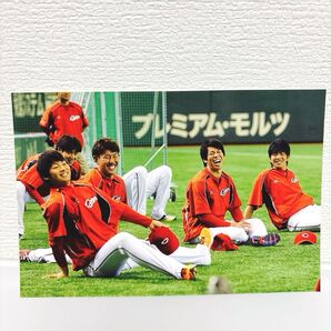 大瀬良大地、前田健太、中田廉、野村祐介、一岡竜司 広島東洋カープ ポストカード