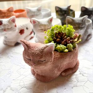 【ハンドメイド】猫小物入れ