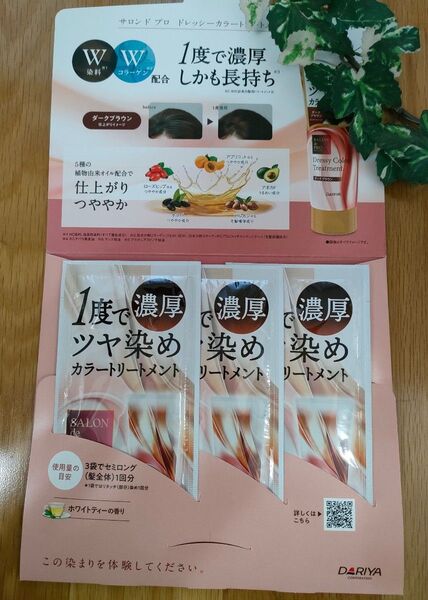 サロンドプロ■ ドレッシーカラートリートメント ダークブラウン3個 お試し 白髪染め カラートリートメント