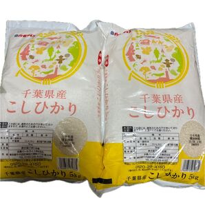千葉県産こしひかり 5kg×2袋
