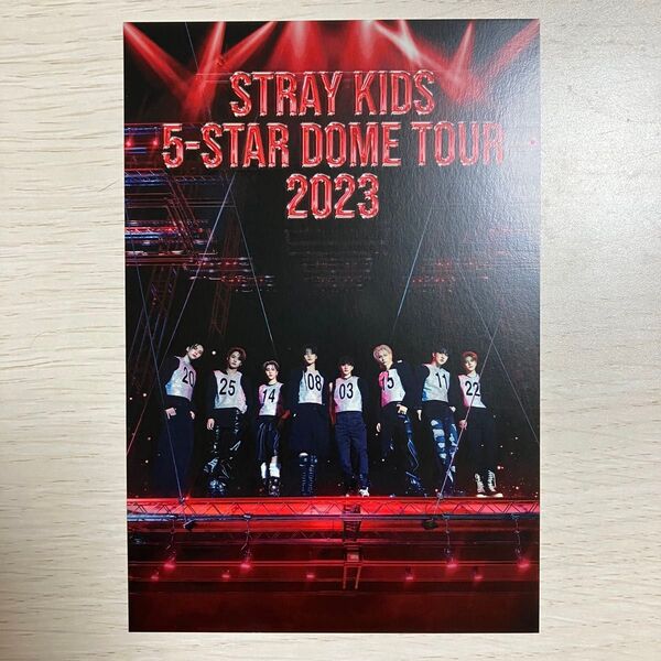 Stray Kids スキズ 5-STAR DOME TOUR 2023 東京ドームシティアトラクションズ コラボ ポストカード