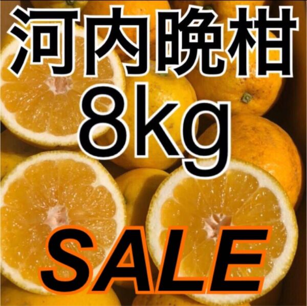 家庭用 ミカン 愛媛県産 河内晩柑 箱込8kg みかん 果物 柑橘