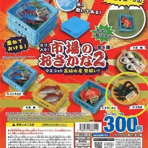 【うなぎ】カゴ入り!市場のおさかなマスコット2~高級水産勢揃い!