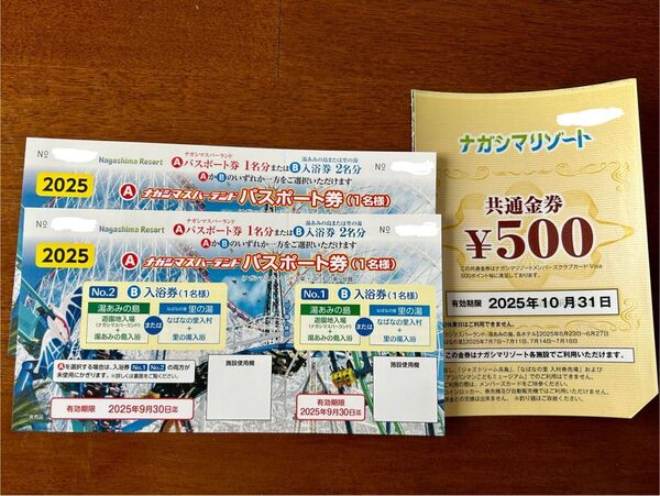 ナガシマスパーランドパスポート券2枚&共通金券500円
