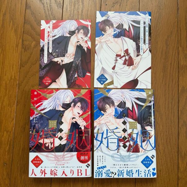 チシュ王の婚姻 ~花嫁に交わる王の糸~ 上下巻セット コミコミ 特典付き