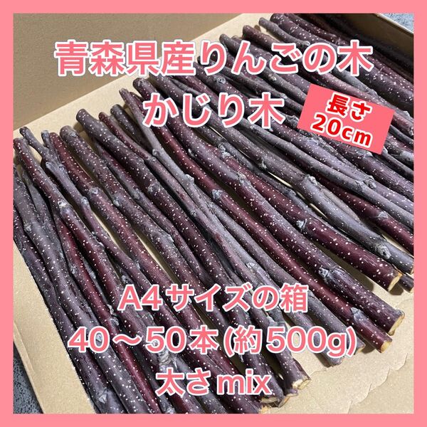 【青森県産】りんごの木 かじり木【AB農園】