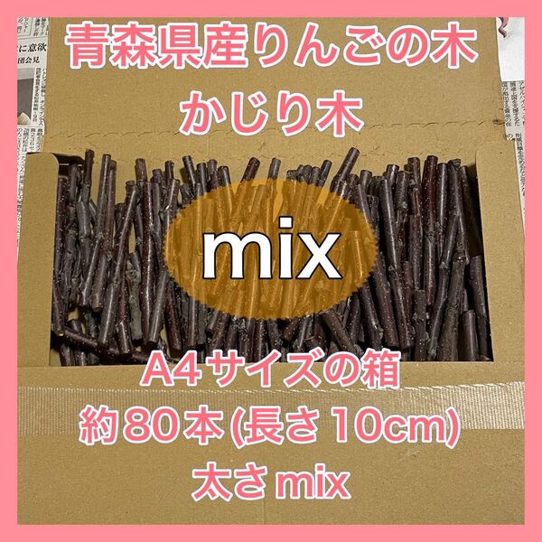 【青森県産】りんごの木 かじり木【AB農園】