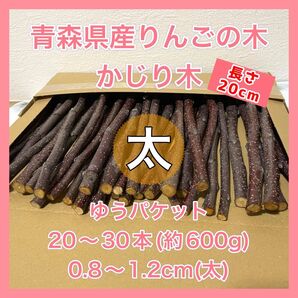【青森県産】りんごの木 かじり木【AB農園】