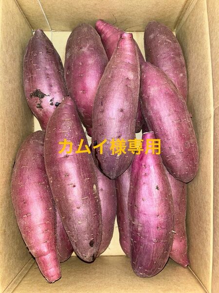 千葉県産紅はるかL 15㎏