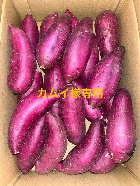 千葉県産紅はるかM 15㎏