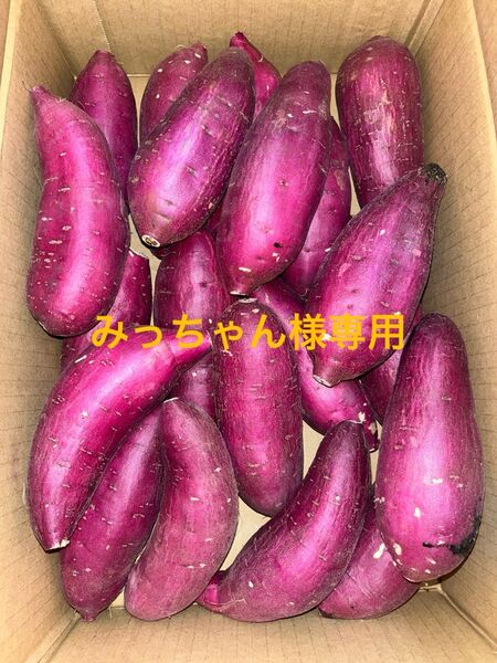 千葉県産紅はるかM 20kg