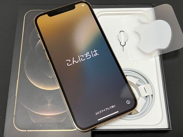 【極美品】Apple iPhone 12 Pro ゴールド 256GB SIMフリー 全動作正常 翌日お届け可能