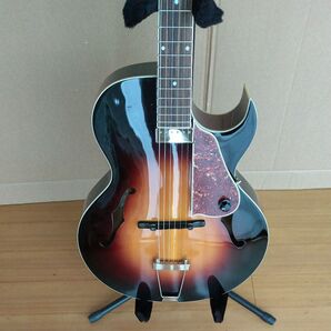 The Loar (ロアー)LH-350-VS フルアコースティックギター