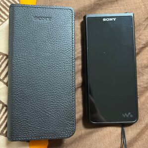 WALKMAN ZXシリーズ NW-ZX500シリーズ NW-ZX507 ソニー