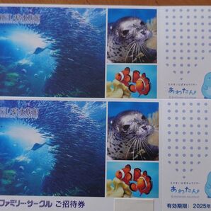 新江ノ島水族館 ご招待券 2枚