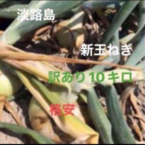 玉ねぎ 淡路島 玉ねぎ 格安 訳あり 淡路島産 たまねぎ 10キロ 減農薬