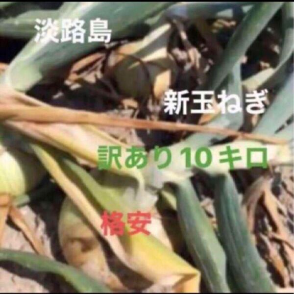 玉ねぎ 淡路島 玉ねぎ 格安 訳あり 淡路島産 たまねぎ 10キロ 減農薬