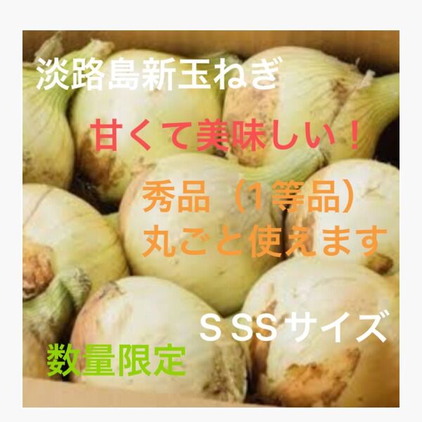 淡路島 玉ねぎ たまねぎ 一等級品 格安 数量限定 淡路島産