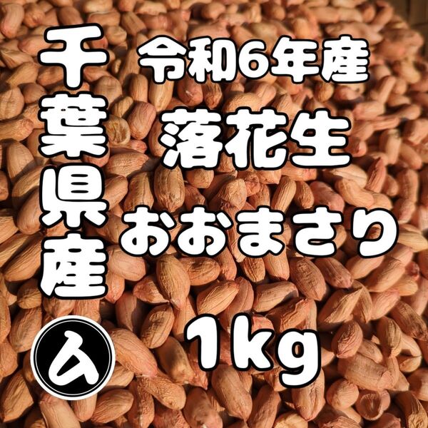 千葉県産 おおまさり 1kg 手むき 乾燥生落花生