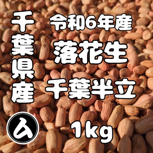 千葉県産 県内発送 千葉半立 1kg 手むき 乾燥生落花生