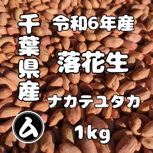 千葉県産 県内発送 ナカテユタカ 1kg 手むき 乾燥生落花生 原種