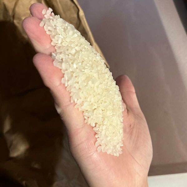 新潟県佐渡島産コシヒカリ米20キロ
