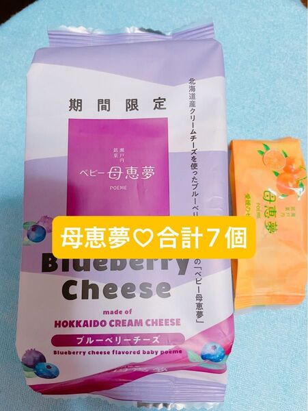 【期間限定】ベビー母恵夢 ブルーベリーチーズ 6個 愛媛のせとか 1個 合計7個