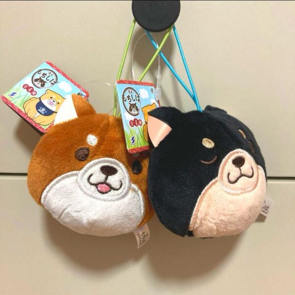 忠犬もちしば フェイスマスコット 2個セット
