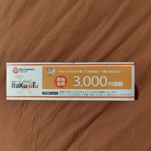 ラクウル 3000円増額チケット ビックカメラ