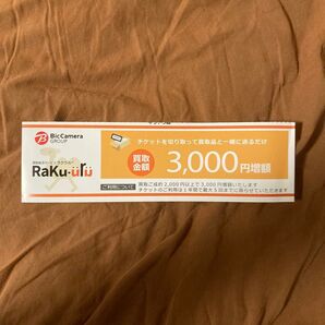 ラクウル 3000円増額チケット ビックカメラ