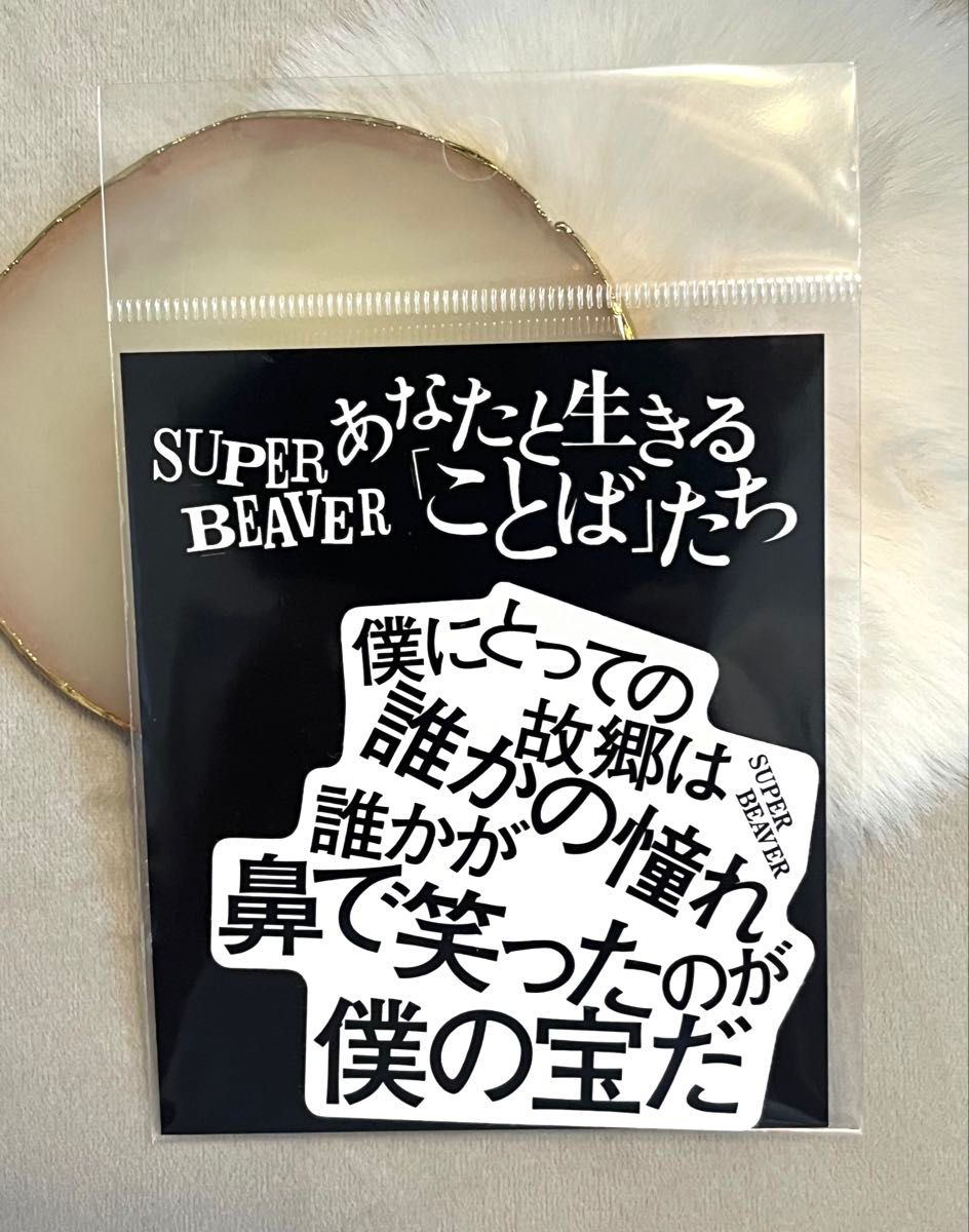 あなたと生きる「ことば」たち　SUPER BEAVER SUPER BEAVERがmagmabooksに来店！新スタイル書店「magmabooks