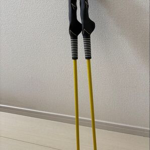 Lynx リンクス 正規品 TEACHING PRO2 練習用 2本セット