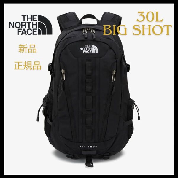 THE NORTH FACE*ノースフェイス*ビッグショット30L
