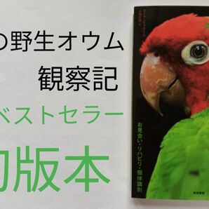 都会の野生オウム観察記: お見合い・リハビリ・個体識別 マーク ビトナー